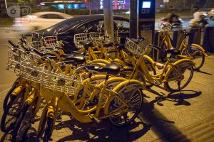 China Exkursion FHWS nach Huzhou: Fahrradleihstation